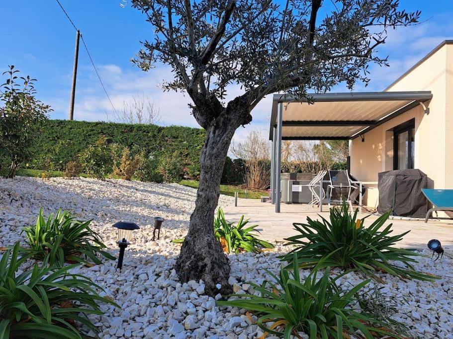 Villa Drome Jacuzzi La Maison D'A Cote Chatuzange-le-Goubet 外观 照片